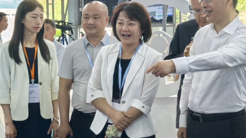 FAG轴承型号尺寸表：揭秘轴承选型的关键要素